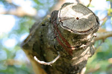 Similar image 405006