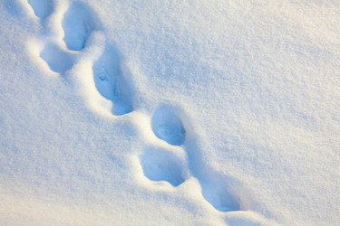 Similar image 405056