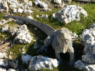 Similar image 405075