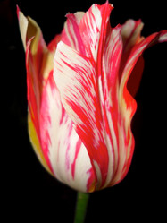 Similar image 405129