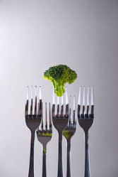 Similar image 405148