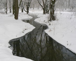 Similar image 405189