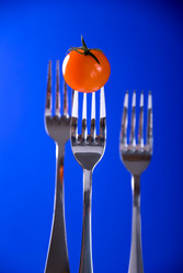 Similar image 405226