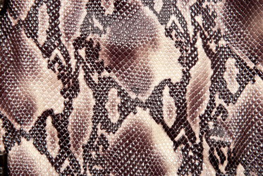 Similar image 405255