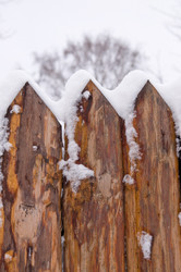 Similar image 405258