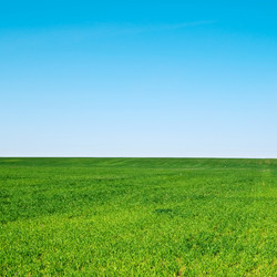 Similar image 405286