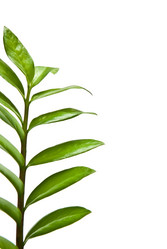 Similar image 405289