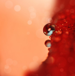 Similar image 405402