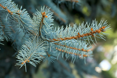 Similar image 405445