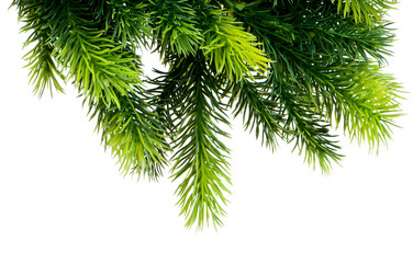 Similar image 405832