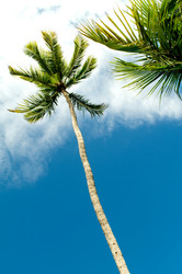 Similar image 405889