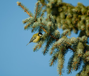 Similar image 406238