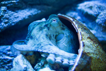 Similar image 406302