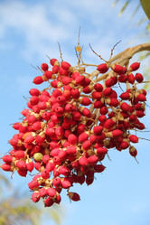 Similar image 406312