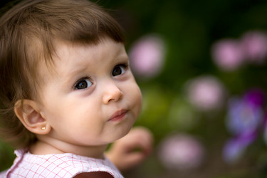 Similar image 406317