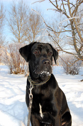 Similar image 406339