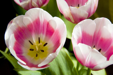 Similar image 406364