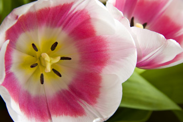 Similar image 406366