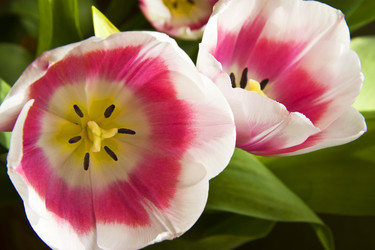 Similar image 406367