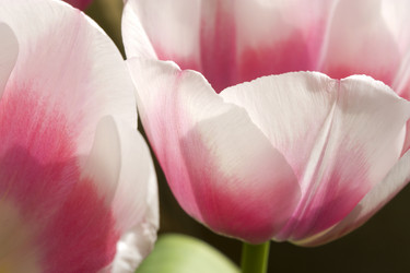 Similar image 406368