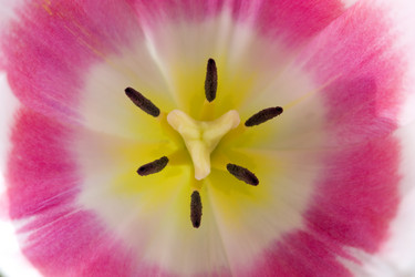 Similar image 406370