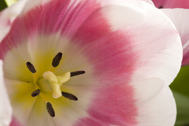 Similar image 406372