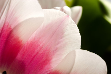 Similar image 406373