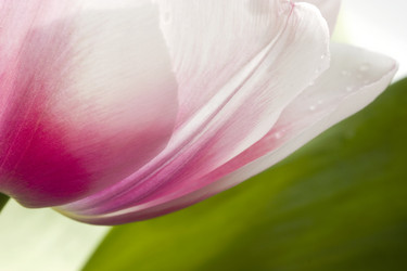 Similar image 406374