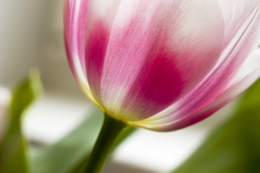 Similar image 406375