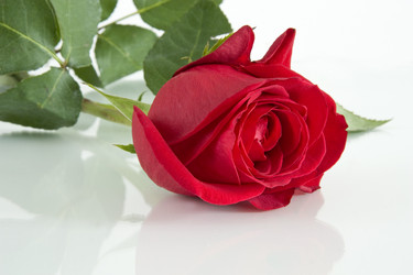 Similar image 406379