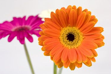 Similar image 406383