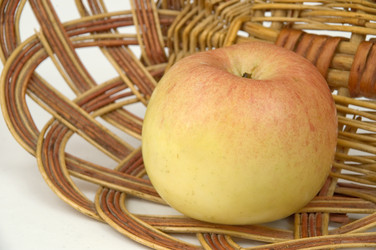 Similar image 406391