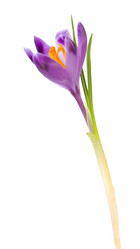 Similar image 406396