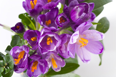 Similar image 406398