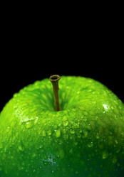 Similar image 406399