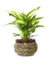 Similar image 406401