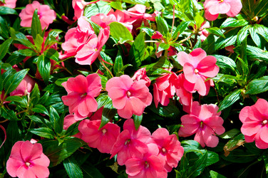 Similar image 406411