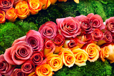 Similar image 406416