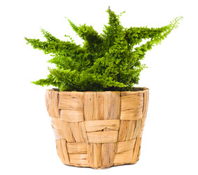 Similar image 406418