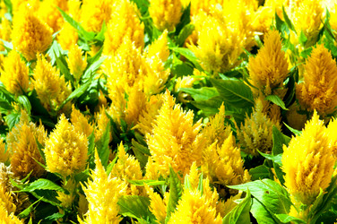 Similar image 406423