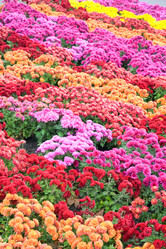 Similar image 406434