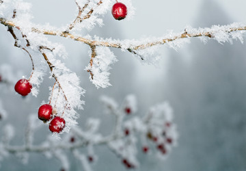 Similar image 406446