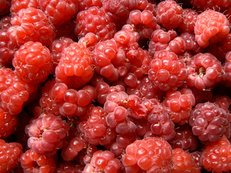 Similar image 406447