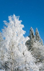 Similar image 406475