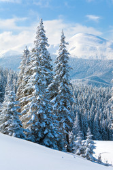 Similar image 406491