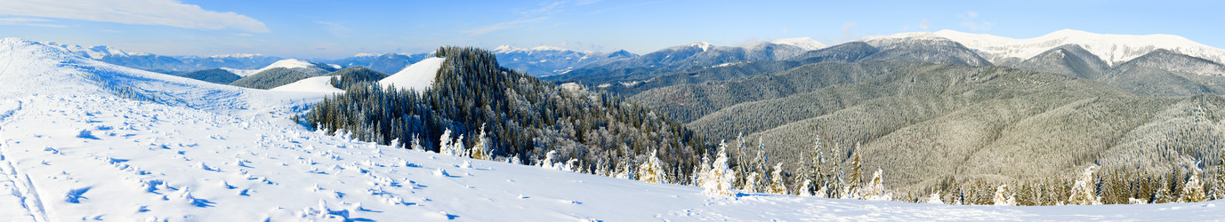 Similar image 406493