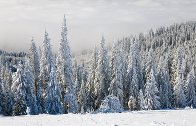 Similar image 406499