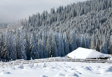 Similar image 406503