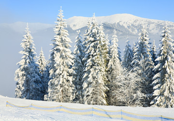 Similar image 406516