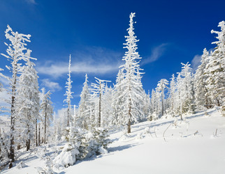 Similar image 406527